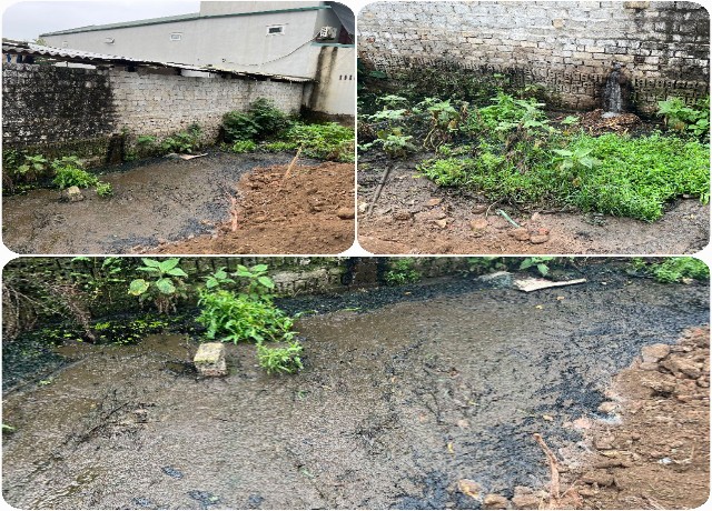 Nguồn nước thải đen ngòm, dày đặc thường xuyên bốc mùi hôi thối và được trại lợn xả trực tiếp vào vườn cây các hộ sinh sống xung quanh. Nguồn nước thải đen ngòm, dày đặc thường xuyên bốc mùi hôi thối và được trại lợn xả trực tiếp vào vườn cây các hộ sinh sống xung quanh.