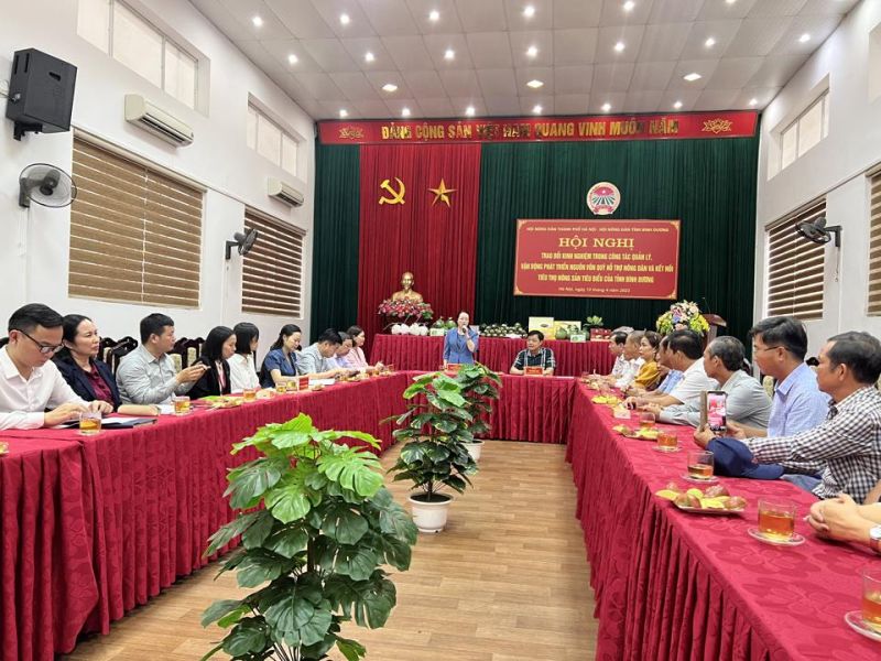 Chủ tịch Hội Nông dân thành phố Hà Nội Phạm Hải Hoa phát biểu tại hội nghị. Ảnh: Ánh Ngọc