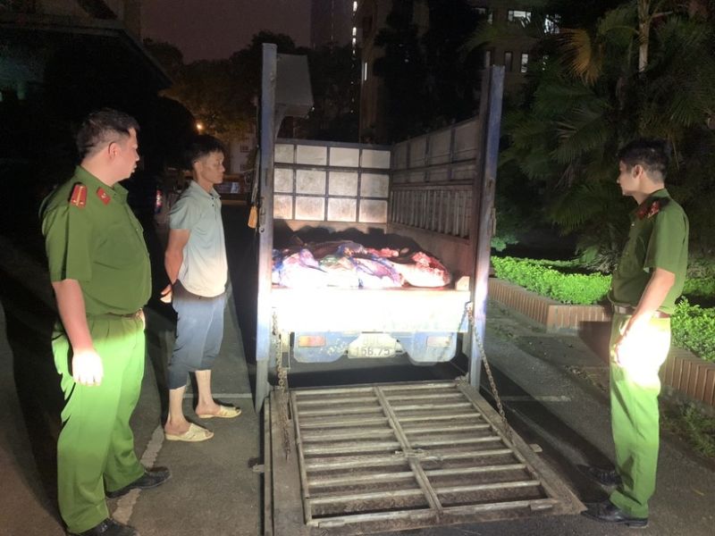 Vĩnh Phúc phát hiện, bắt giữ đối tượng vận chuyển khoảng 1 tấn lợn chết trên đường đi tiêu thụ