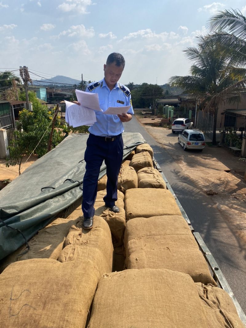 Lực lượng Quản lý thị trường Đắk Lắk thực hiện kiểm tra xe vận chuyển nguyên liệu thuốc lá