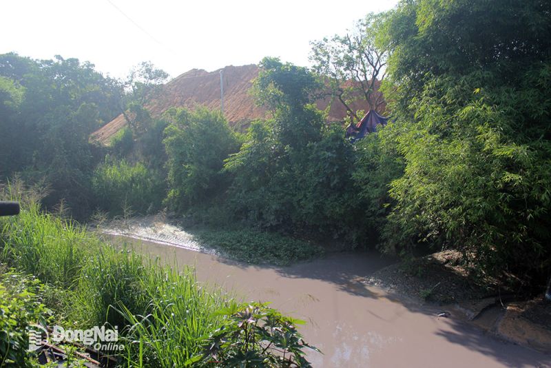 Nước sông Buông đã bị ô nhiễm nặng.