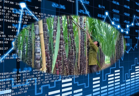 VN-Index vẫn loay hoay tìm hướng đi?