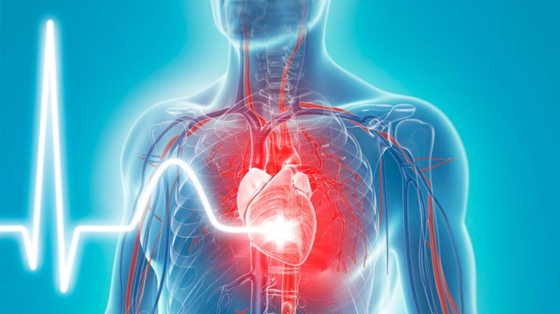 Bệnh tim mạch là nguyên nhân gây thiếu máu não hàng đầu