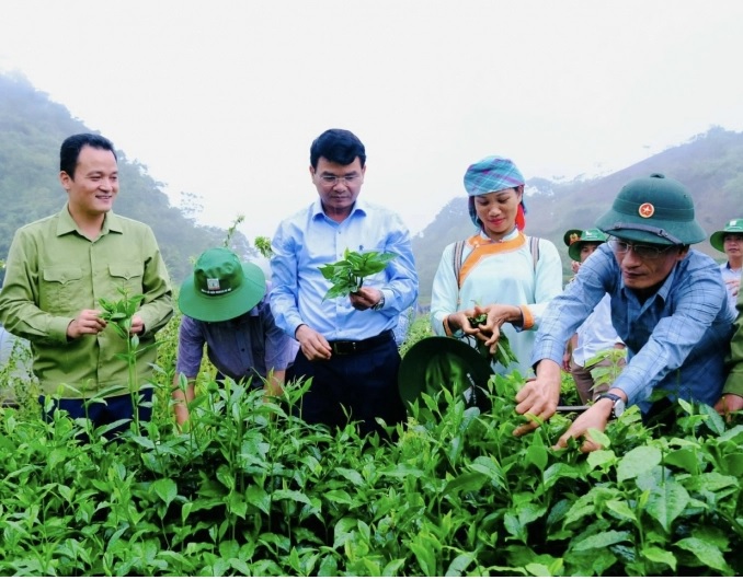 Lào Cai tập trung thực hiện các giải pháp phát triển nông nghiệp hàng hóa