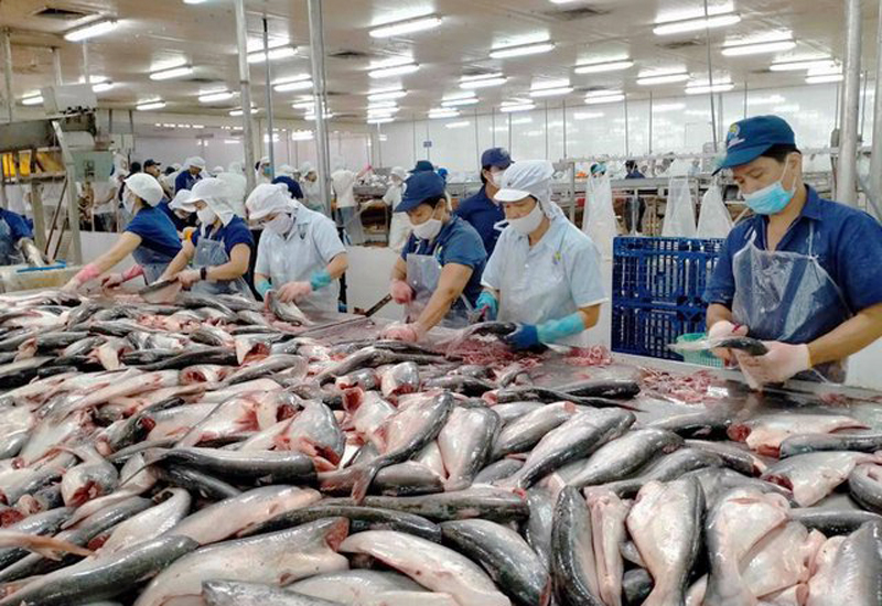 Hiệp hội Chế biến và Xuất khẩu thủy sản Việt Nam đề xuất gói tín dụng khoảng 10.000 tỷ đồng với lãi suất thấp để phục vụ thu mua nguyên liệu, giúp nông dân duy trì sản xuất.