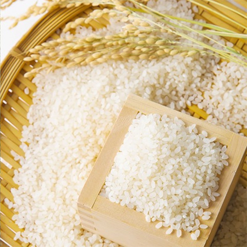 Giá lúa gạo hôm nay 18/5: Giá gạo tiếp tục tăng 50 đồng/kg