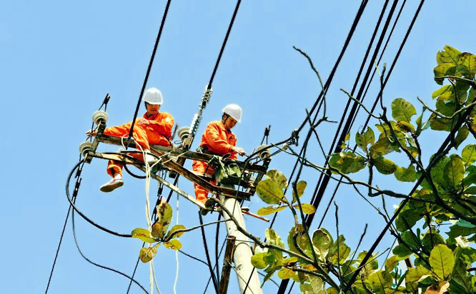 Nhân viên ngành Điện kiểm tra hệ thống lưới điện