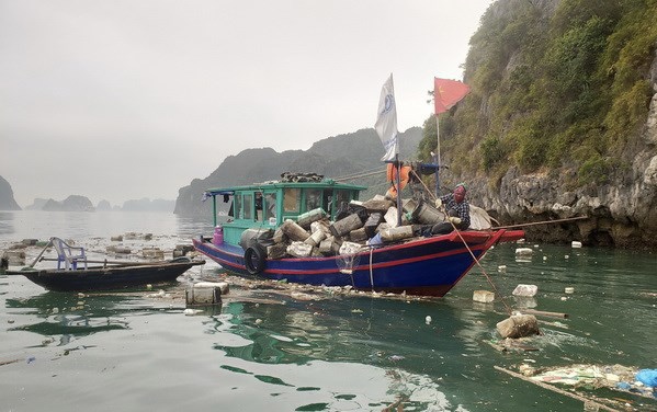 Quảng Ninh: Yêu cầu xử lý dứt điểm 8 cơ sở nuôi thủy sản trái phép trên vịnh Hạ Long