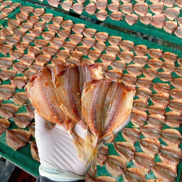 Hai loại cá khô Việt Nam được ưa chuộng nhất hiện nay là cá cơm và cá chỉ vàng