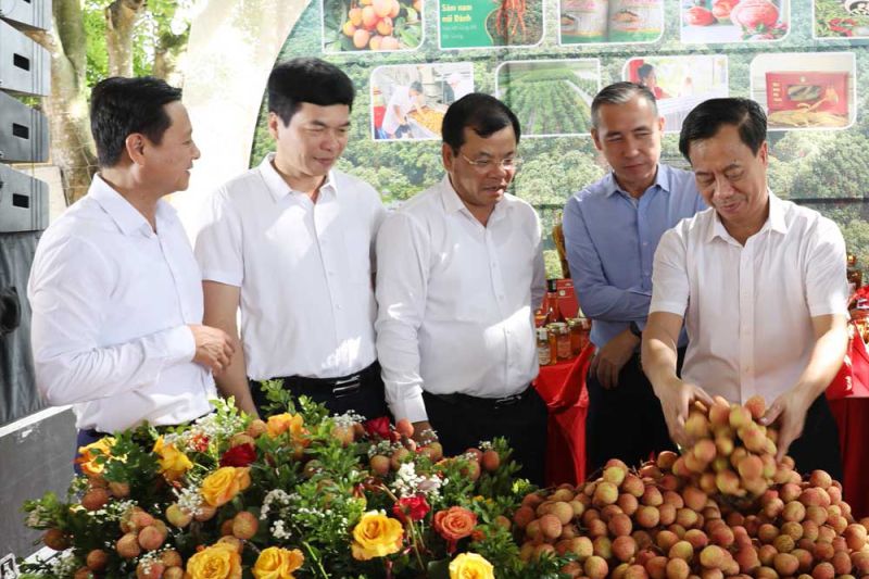 Ông Phan Thế Tuấn Phó Chủ tịch UBND tỉnh Bắc Giang cùng các đại biểu tham quan gian trưng bày vải thiều chín sớm