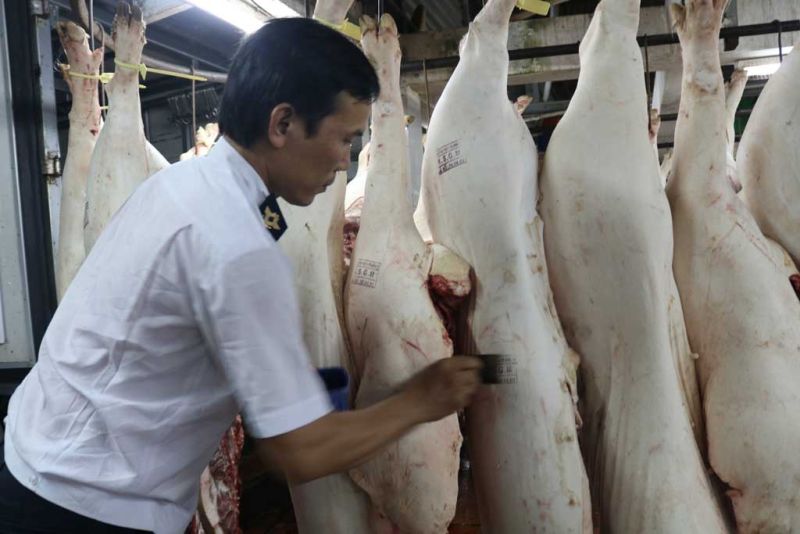 Chủ tịch UBD tỉnh Lào Cai vừa có văn bản gửi các Sở, ban ngành, UBND các huyện, thị xã, thành phố trên địa bàn tỉnh về việc tăng cường thực hiện các giải pháp quản lý hoạt động giết mổ, kiểm soát giết mổ, kinh doanh động vật, sản phẩm động vật.