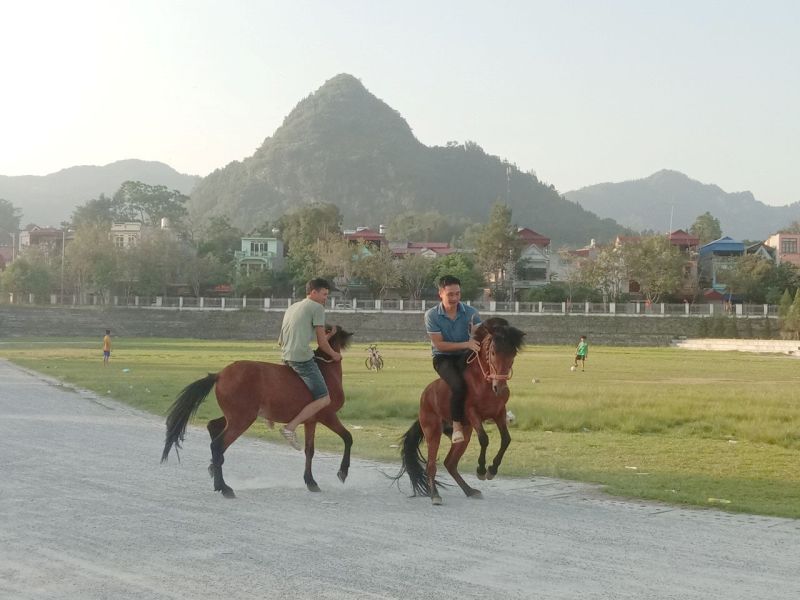 Các nài ngựa đã tăng cường đưa ngựa ra  tận sân vận động trung tâm huyện luyện tập quen đường đua. Ảnh Cổng TTĐT huyện Bắc Hà