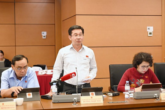 Đại biểu Quốc hội Dương Ngọc Hải phát biểu khi thảo luận tại tổ chiều 5/6. Ảnh: Minh Phúc
