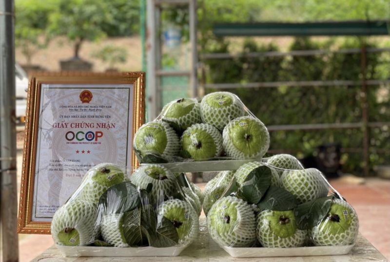Huyện Văn Giang phấn đấu có thêm 4 sản phẩm được công nhận sản phẩm OCOP