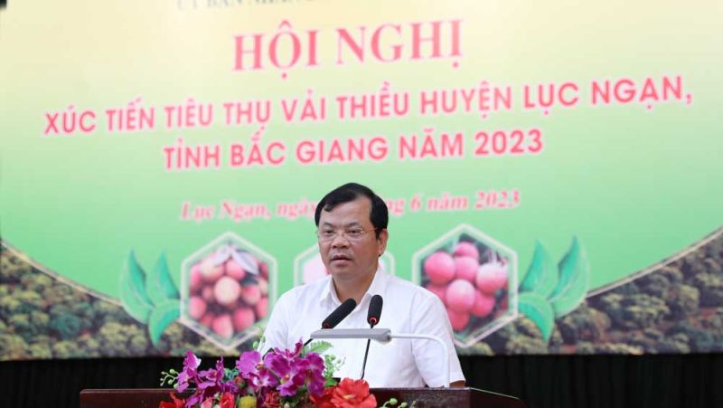 Ông Phan Thế Tuấn, Phó Chủ tịch UBND tỉnh Bắc Giang phát biểu tại hội nghị