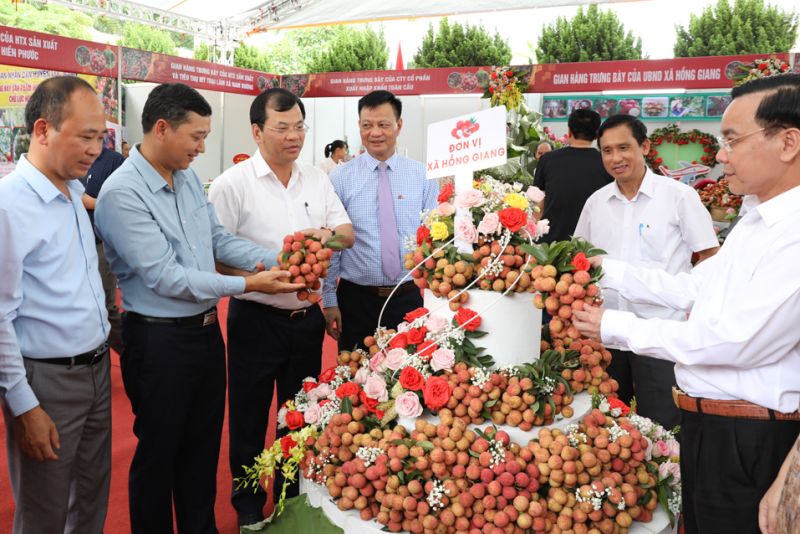 Lãnh đạo tỉnh Bắc Giang cùng các đại biểu tham quan gian trưng bày vải thiều.