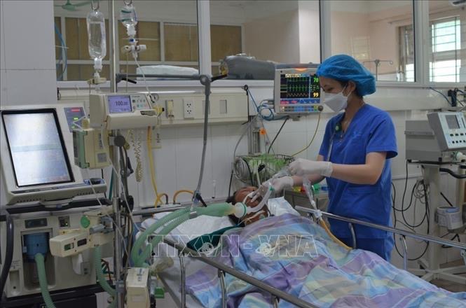 Bệnh nhân bị ngộ độc so biển đang được hồi sức tích cực tại Bệnh viện Bãi Cháy. Ảnh: TTXVN phát