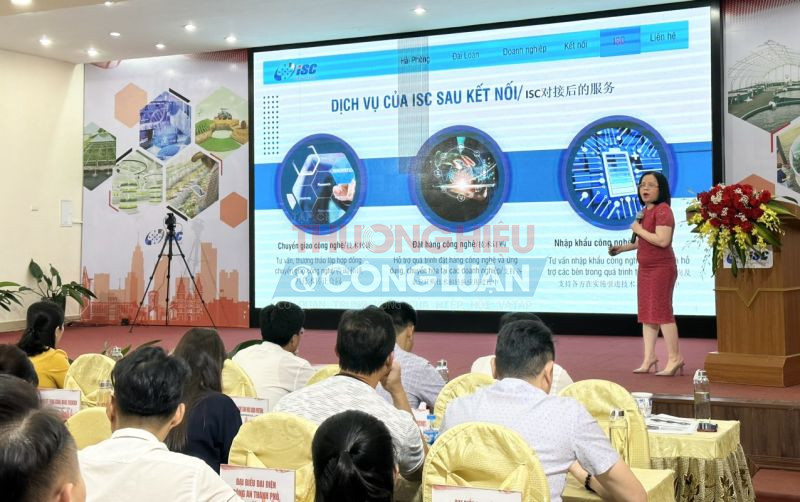Khai mạc phiên kết nối giữa các tổ chức, doanh nghiệp Việt Nam và Đài Loan (Trung Quốc) tại TP. Hải Phòng