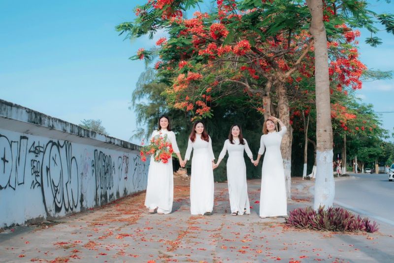 Hải Phòng tăng cường quản lý để nâng cao chất lượng du lịch