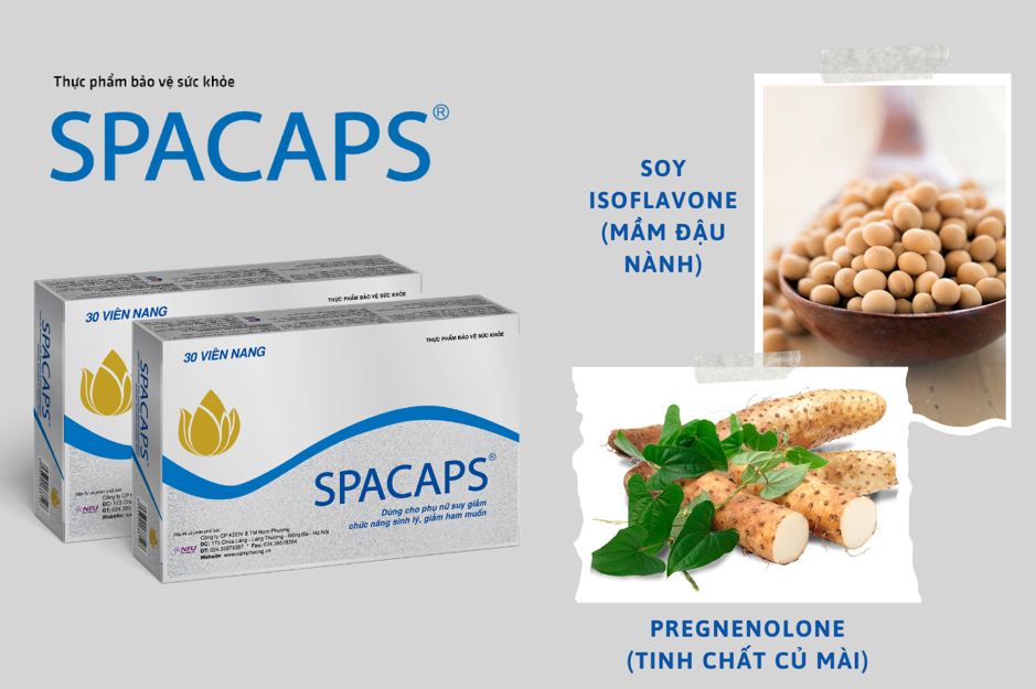 Sản phẩm Spacaps chứa soy isoflavone và pregnenolone giúp tăng nội tiết tố nữ, hỗ trợ cải thiện chức năng sinh lý