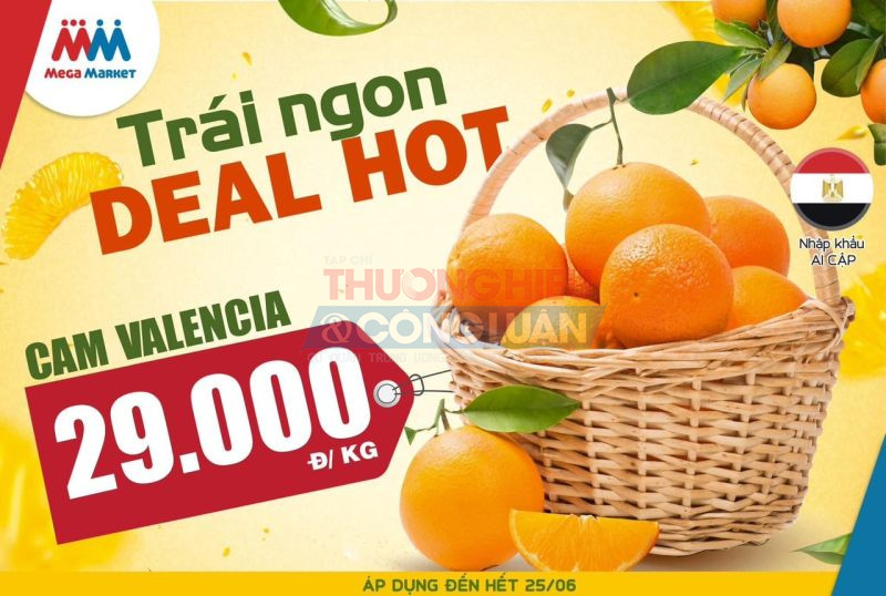 Mega Market Hồng Bàng - Hải Phòng và chương trình khuyến mại tròn 7 năm tuổi