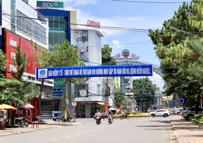 Gia Lai tăng cường các hoạt động truyền thông nhân Ngày Bảo hiểm Y tế Việt Nam 1-7. Ảnh: Như Nguyện
