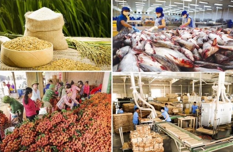 Xuất khẩu nông lâm thủy sản 6 tháng đầu năm đạt 24,6 tỷ USD, giảm 11% so với cùng kỳ năm trước. (Ảnh minh họa)