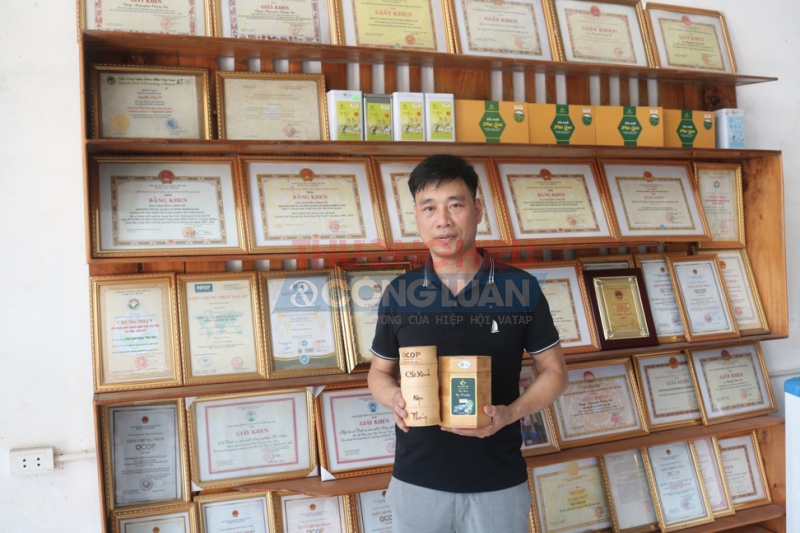Anh Nguyễn Công Sử, Giám đốc HTX dịch vụ sản xuất nông nghiệp Sử Anh