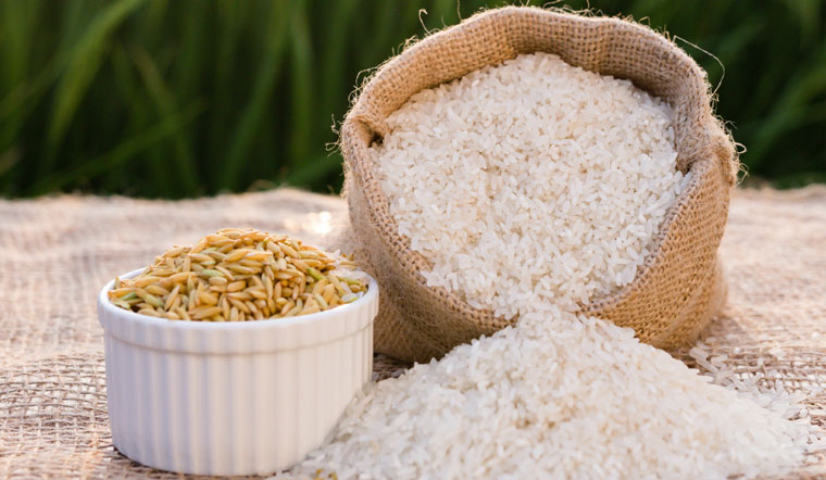 Giá lúa gạo hôm nay 8/7: Thị trường giao dịch ổn định