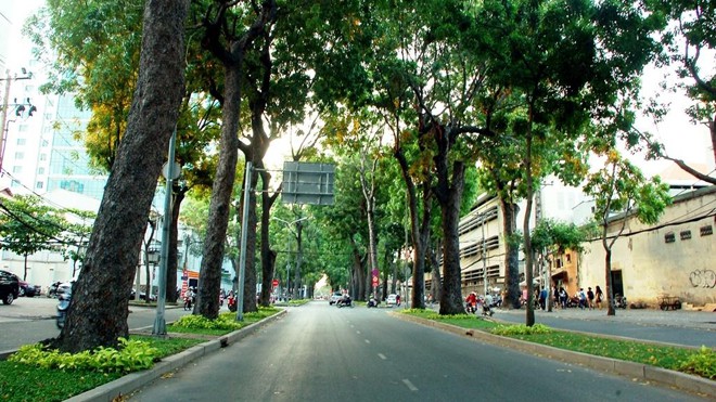 TP. Hồ Chí Minh: Tăng cường quản lý, chăm sóc cây xanh