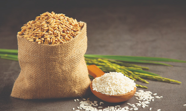 Giá lúa gạo hôm nay 16/7: Tăng 150 đồng/kg