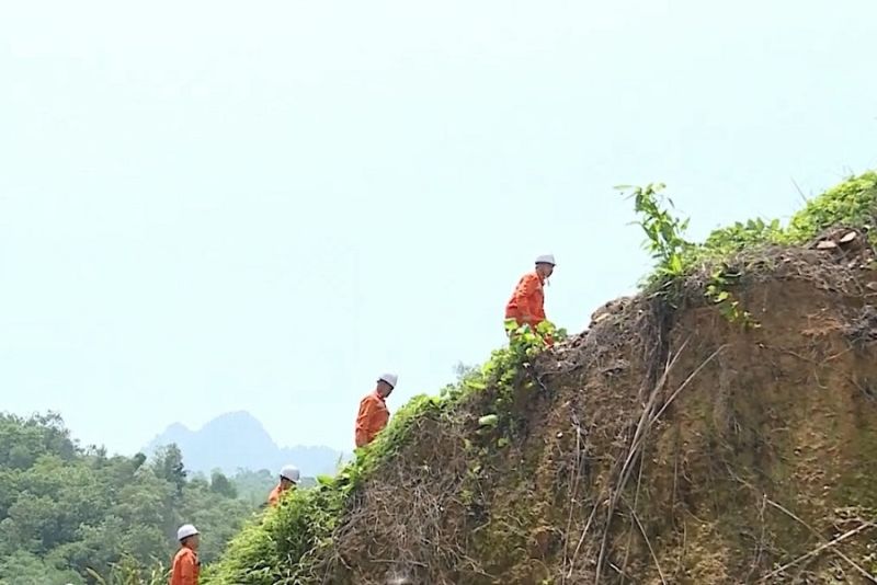 Điện lực Na Hang (PC Tuyên Quang) kiểm tra hành lang lưới điện trên địa bàn
