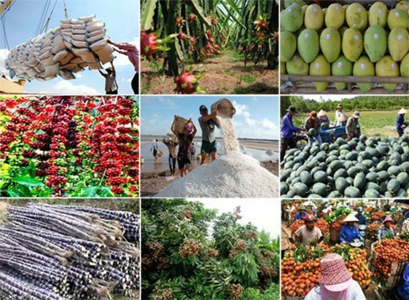 Chỉ số MXV-Index chốt tuần tăng mạnh 2,61%