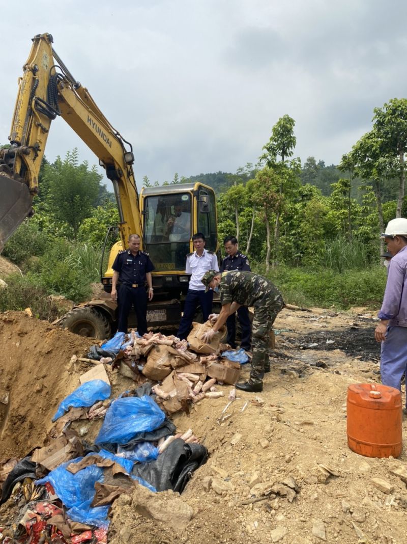 Hải quan Lào Cai tiêu hủy 300 kg chân lợn đông lạnh không rõ nguồn gốc