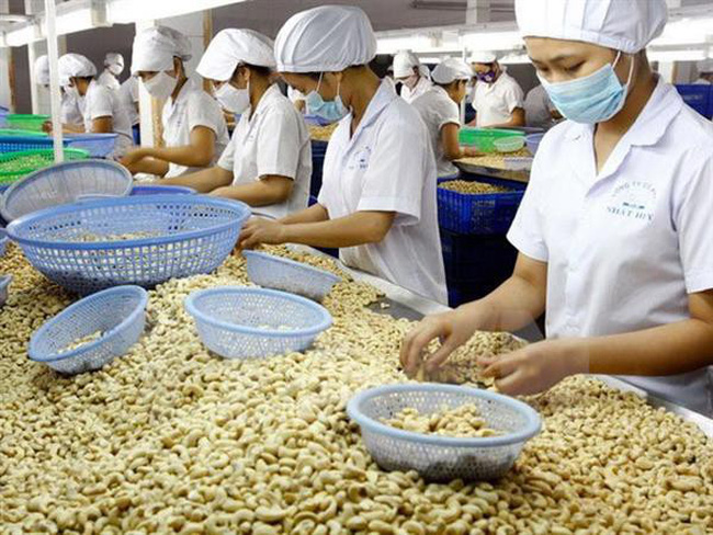 Ba doanh nghiệp Việt bị lừa đảo khi xuất khẩu sang Dubai: Bộ Công Thương vào cuộc