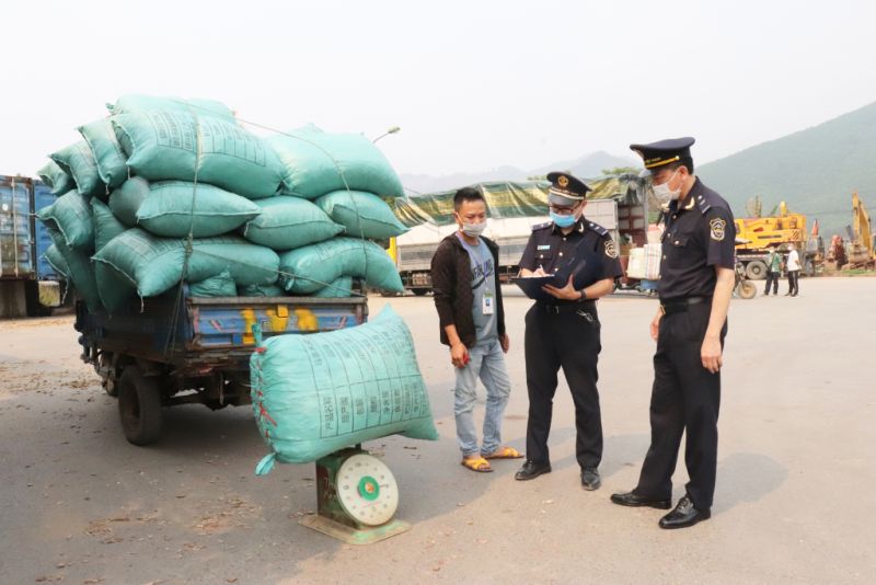 Lực lượng Hải quan cửa khẩu Ho&agrave;nh M&ocirc; kiểm tra, kiểm so&aacute;t h&agrave;ng h&oacute;a trước khi th&ocirc;ng quan.