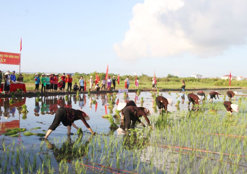 Hội thi cấy diễn ra tại khu vực ruộng trước cửa đình Cốc trong sự cổ vũ sôi nổi của người dân. Hội thi cấy diễn ra tại khu vực ruộng trước cửa đình Cốc trong sự cổ vũ sôi nổi của người dân.