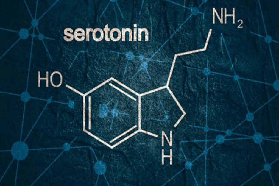 Sự suy giảm chất dẫn truyền thần kinh não bộ Serotonin là nguyên nhân hàng đầu gây rối loạn lo âu