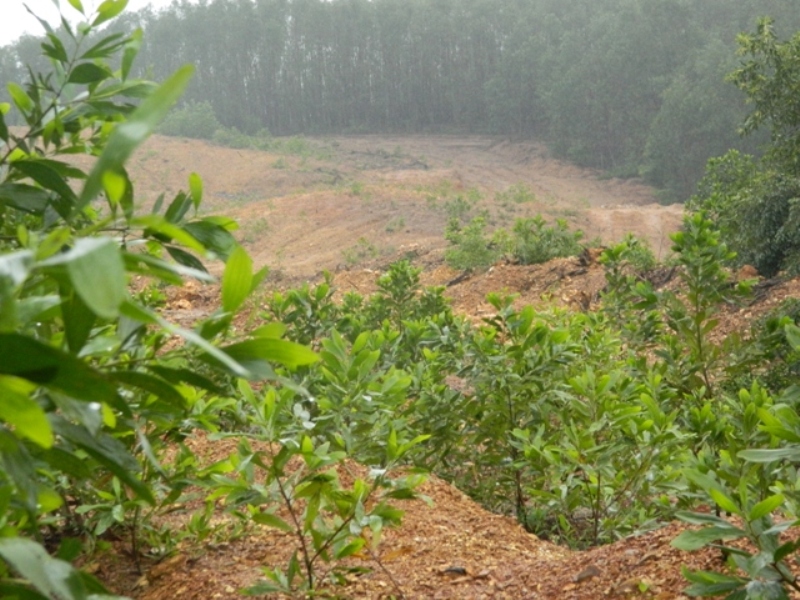 Cục Thuế Thừa Thiên Huế truy thu thêm, trên 300 triệu đồng phí bảo vệ môi trường.