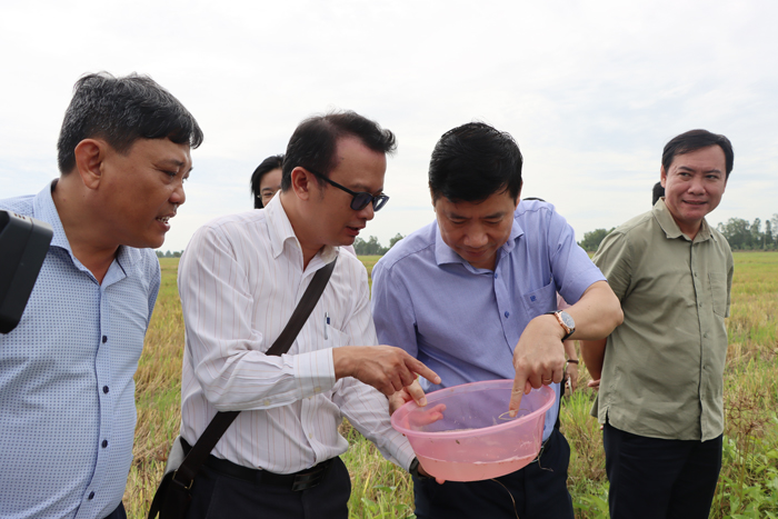Chủ tịch UBND (thứ 2 từ phải sang) thăm mô hình nuôi lươn giống của Hội quán Bình Lý, thành phố Hồng Ngự