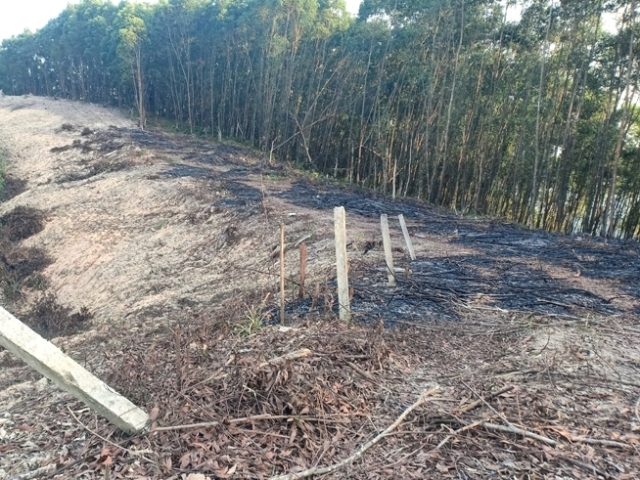 Tiểu khu 160 xã Quang Thọ, huyện Vũ Quang, nơi cơ quan chức năng phát hiện rừng bị chặt phá trái phép