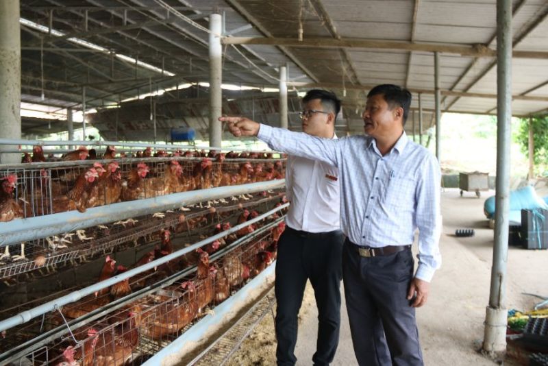 Cán bộ tín dụng Agribank Chi nhánh huyện Ea Kar thăm trang trại chăn nuôi gà của hộ ông Huỳnh Minh Dương