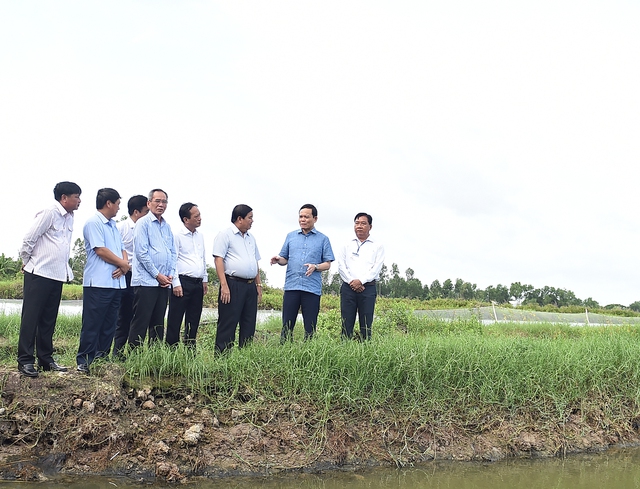 Phó Thủ tướng Trần Lưu Quang thăm mô hình trồng lúa-nuôi tôm tại xã Phong Thạnh A, thị xã Giá Rai, tỉnh Bạc Liêu - Ảnh: VGP/Hải Minh