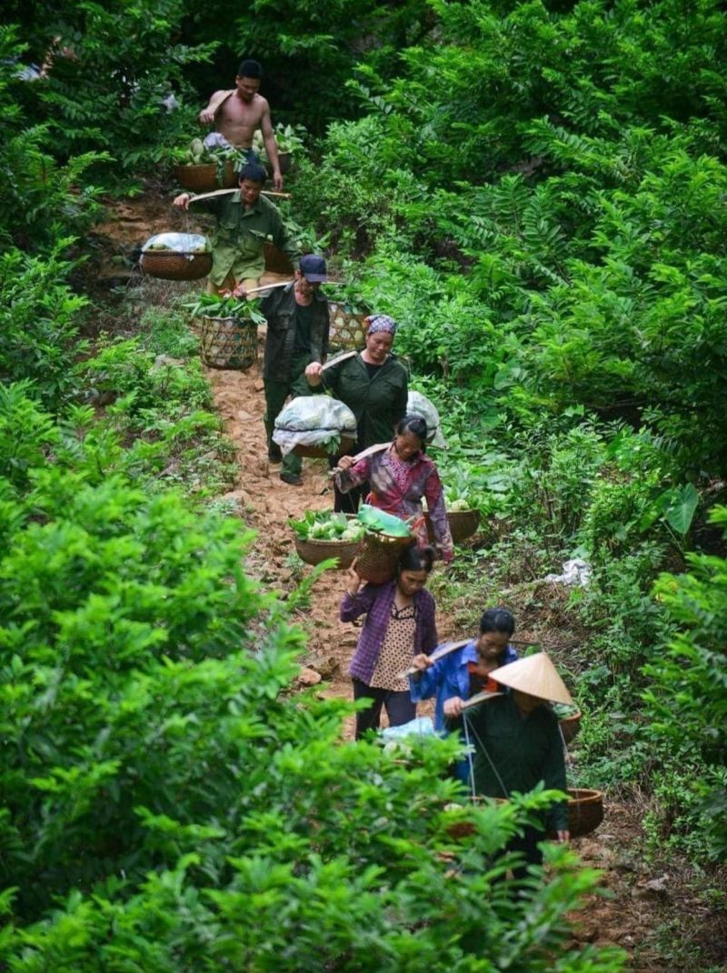 Nông dân huyện Chi Lăng thu hoạch na