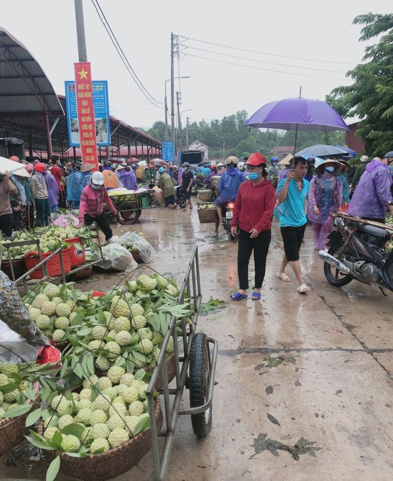 Đông đảo người dân và thương lái buôn, bán na tại Chợ Na Chi Lăng, trị trấn Chi Lăng, huyện Chi Lăng, tỉnh Lạng Sơn