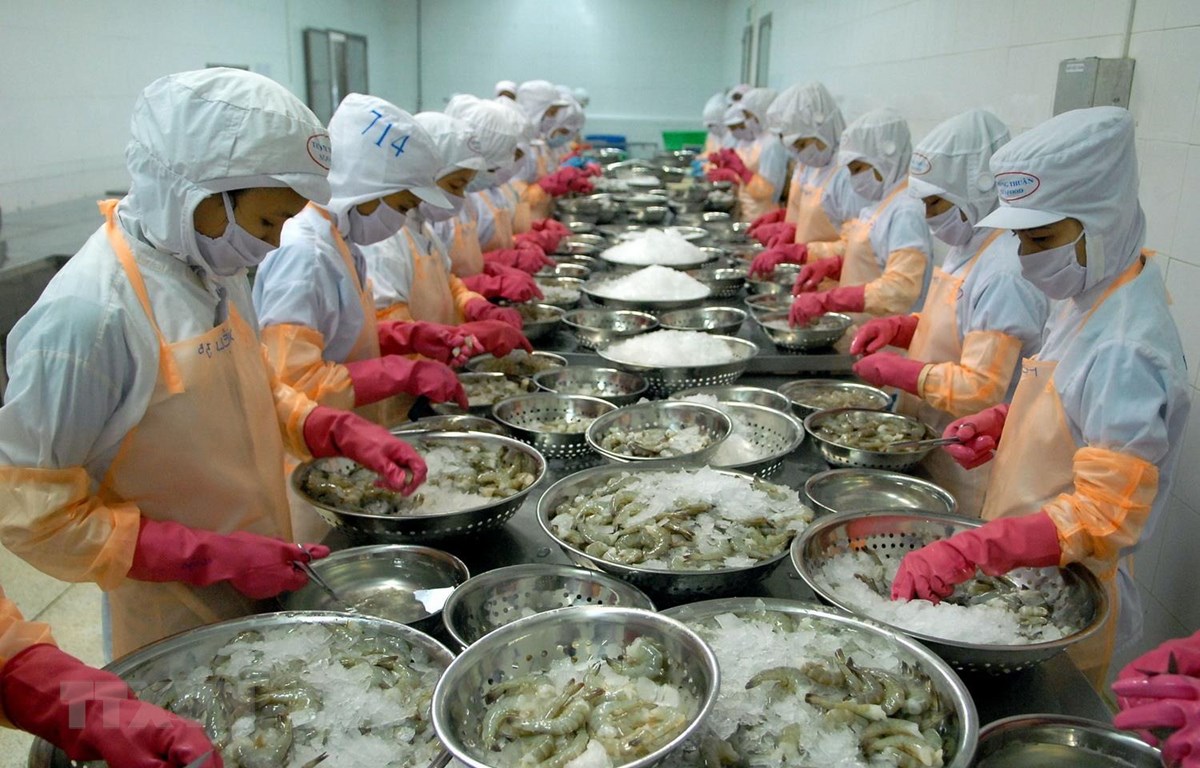 Giá tôm liên tiếp sụt giảm do hiện tại đang vào mùa vụ nuôi tôm chính, không chỉ ở Việt Nam mà còn ở các nước nuôi tôm khác như Ecuador, Ấn Độ và Indonesia, trong khi tình hình xuất khẩu bị đình trệ.