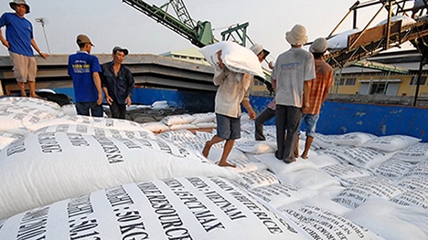 Ấn Độ cấm xuất khẩu gạo trắng không ảnh hưởng lớn đến gạo tiêu dùng của Việt Nam