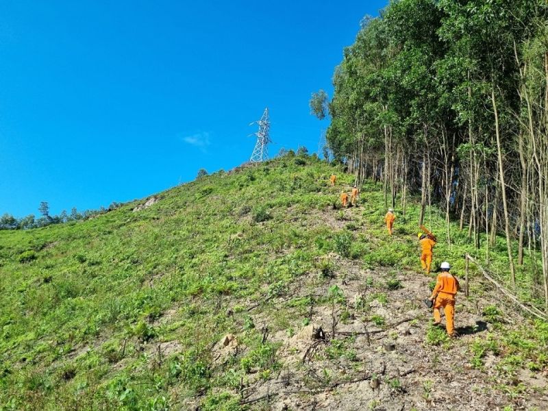 Công nhân Đội Quản lý vận hành lưới điện cao thế Hà Tĩnh đi bộ qua nhiều địa hình để đến hiện trường làm việc
