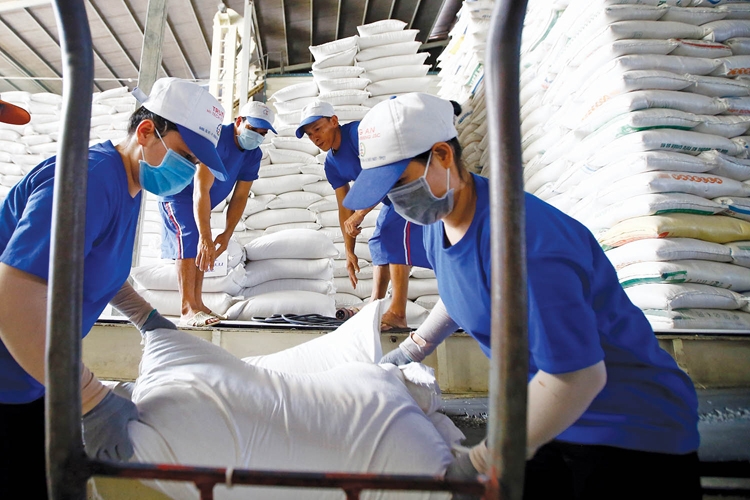 Xuất khẩu gạo của Việt Nam trong năm 2023 có thể tiếp tục vượt mức trên 7 triệu tấn