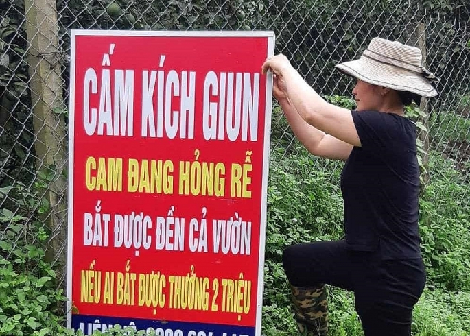 Vĩnh Phúc: Xử lý nghiêm các đối tượng đánh bắt tận diệt giun đất